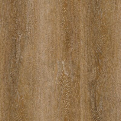 Miracle - Autumn Sunrise