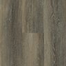 Falcon Oak