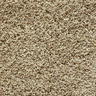 Stucco