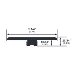 Vanguard - Earth T-Molding